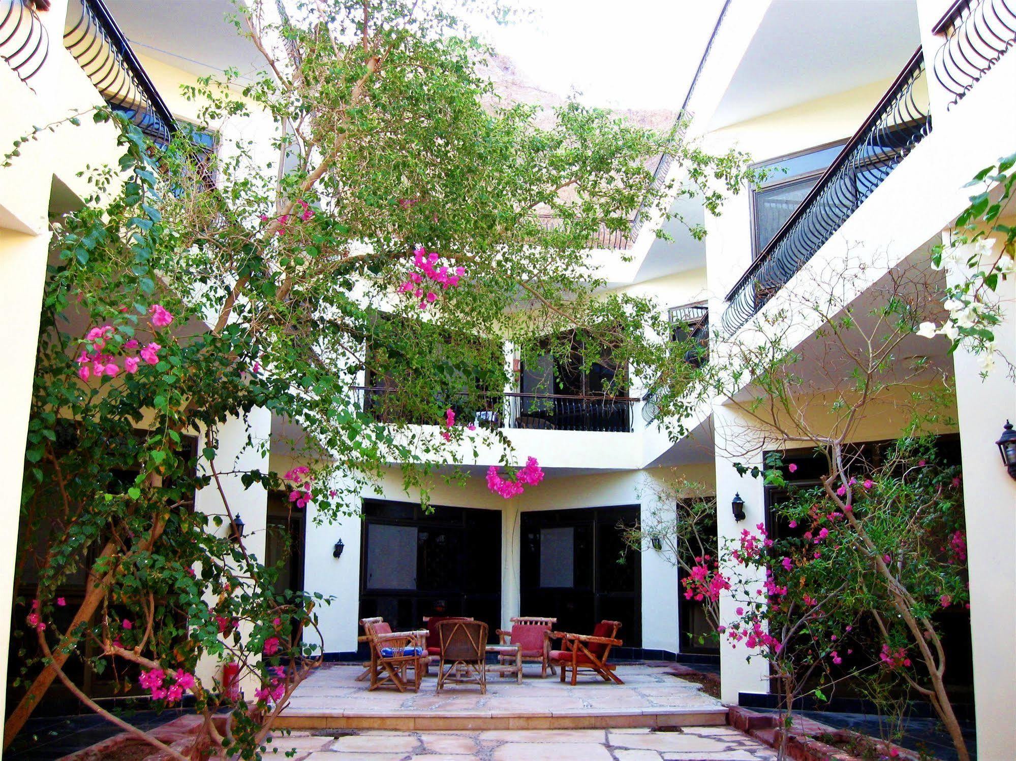 Sea Horse Hotel Хургада Экстерьер фото